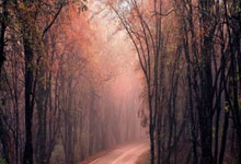 美国选手大放异彩，实现完美逆袭