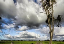 战无不胜！乒乓球选手摘金成功