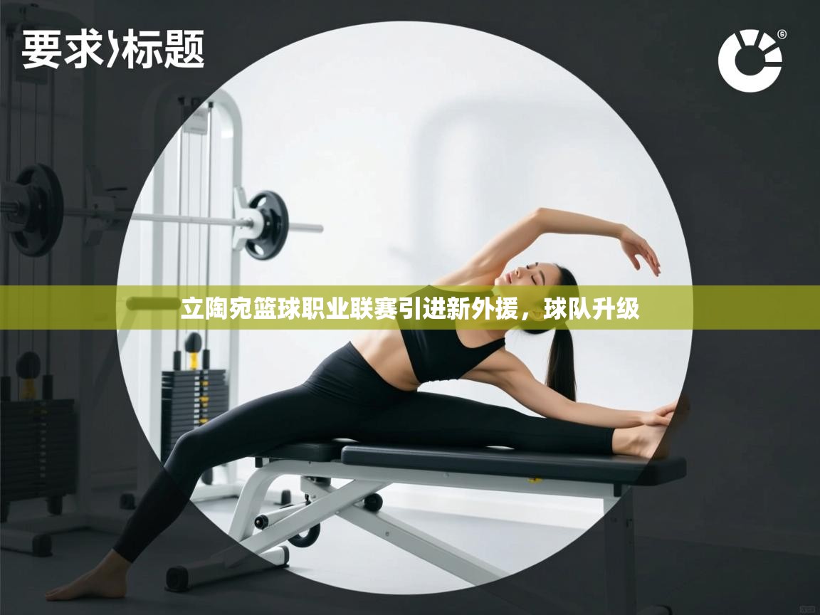 立陶宛篮球职业联赛引进新外援,球队升级 第2张